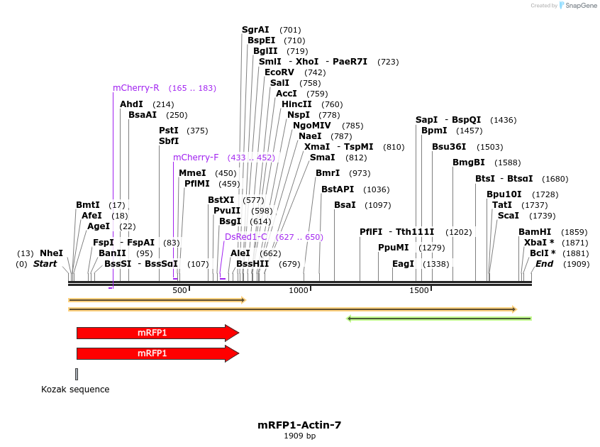86824_map
