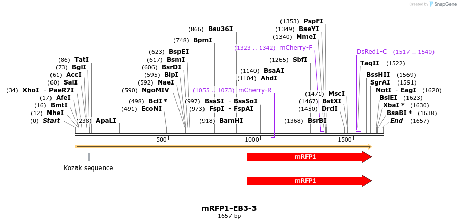 86826_map