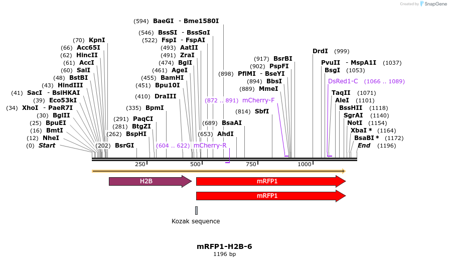 86828_map