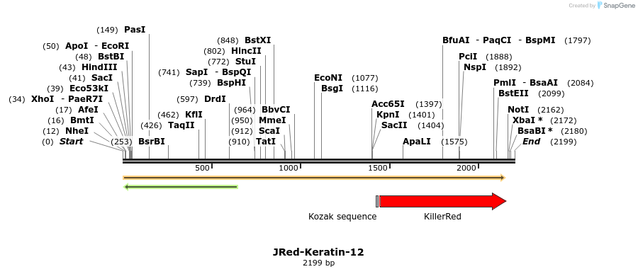 86834_map