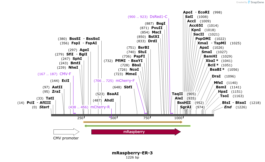 86840_map