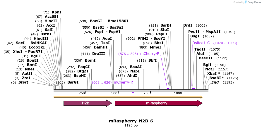 86841_map