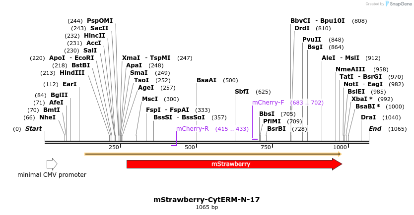 86842_map