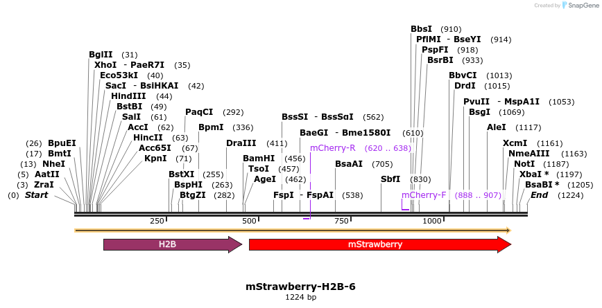 86844_map