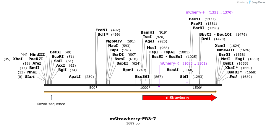 86846_map