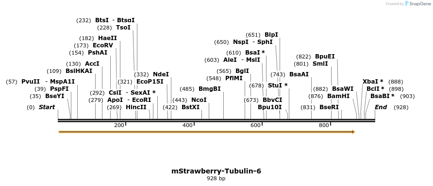 86848_map