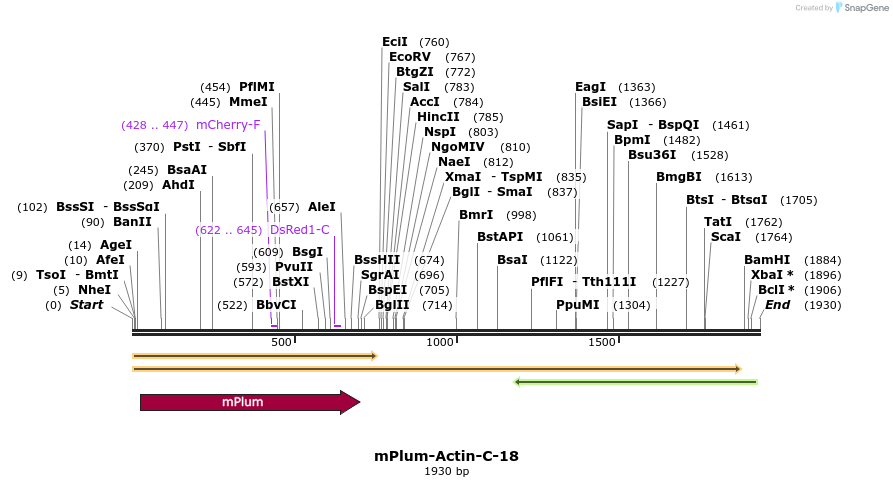 86851_map