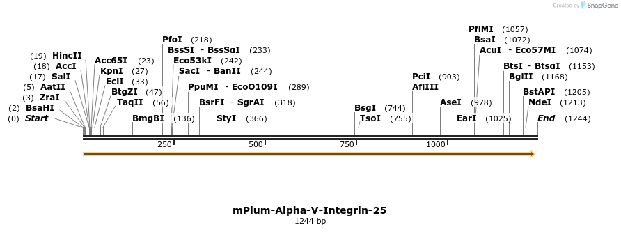 86854_map