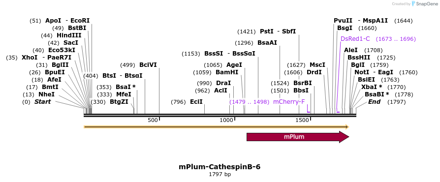 86860_map