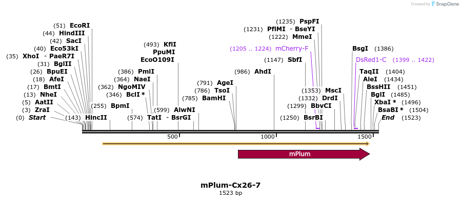 86864_map