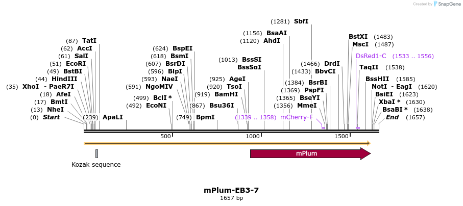 86869_map