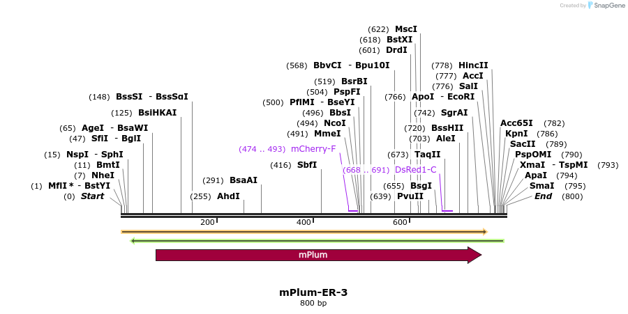 86871_map