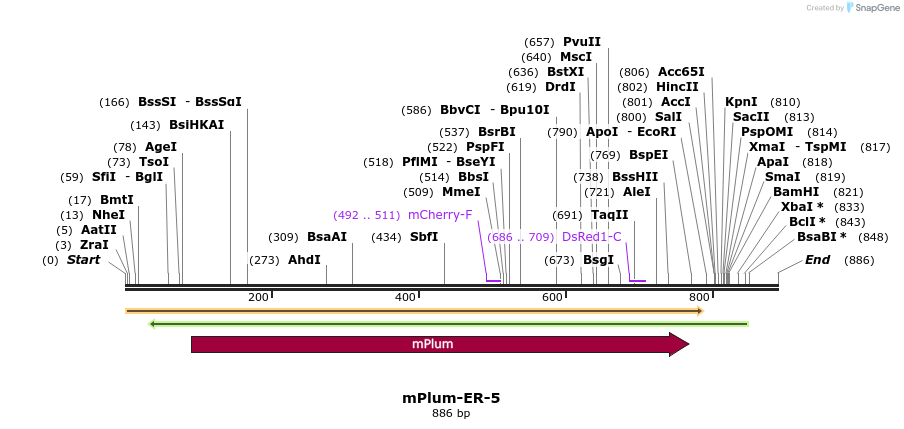 86872_map