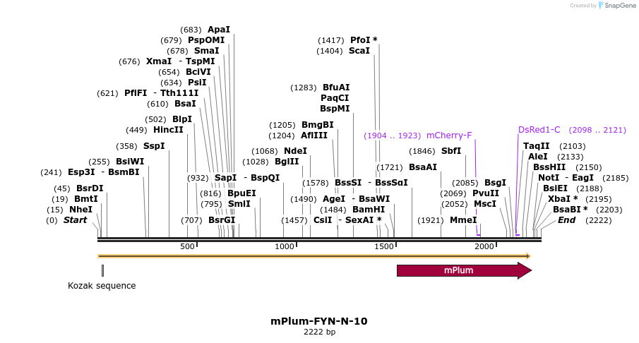 86875_map
