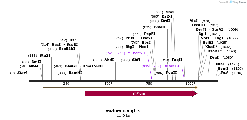 86877_map