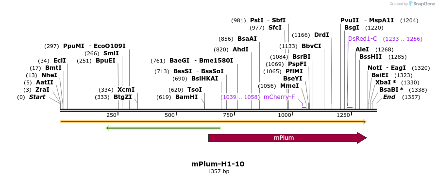86878_map