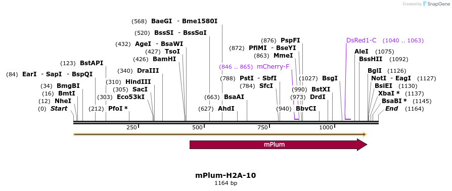 86879_map