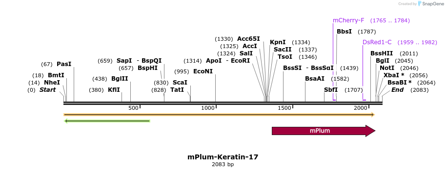 86885_map