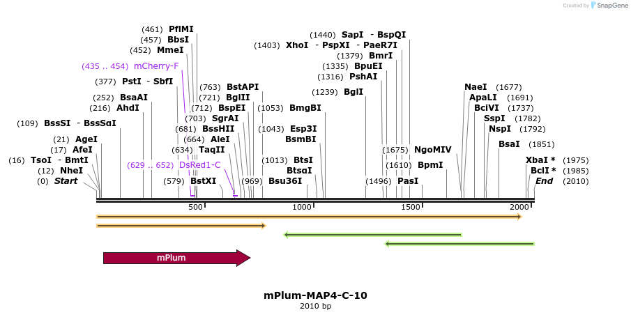86890_map