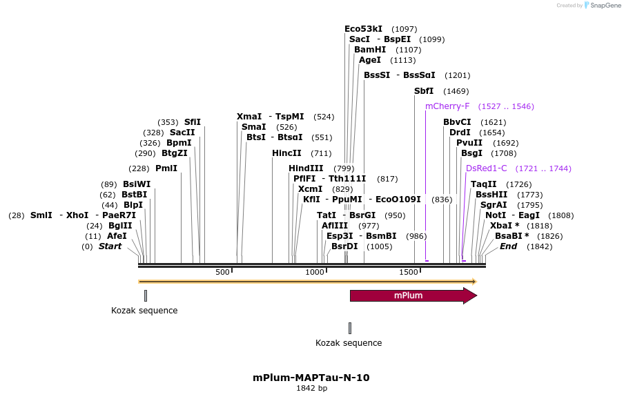 86891_map
