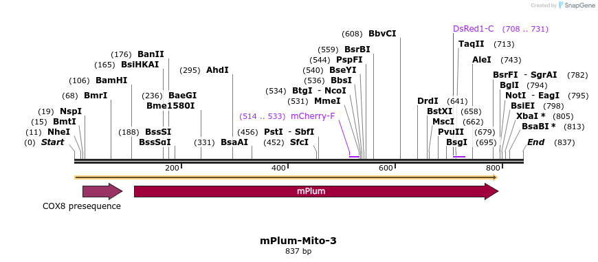 86893_map