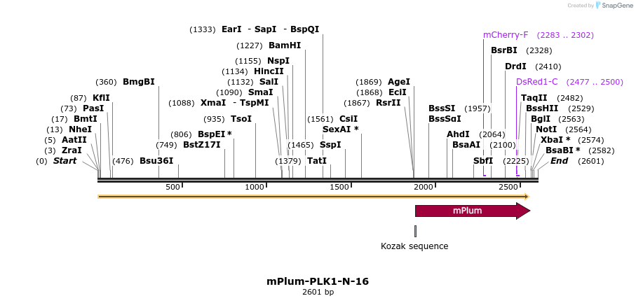 86901_map