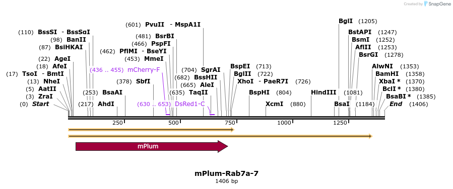 86903_map