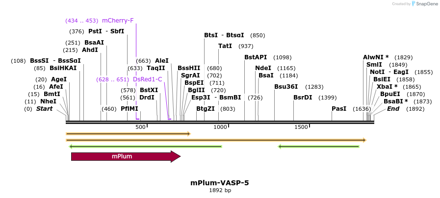 86911_map