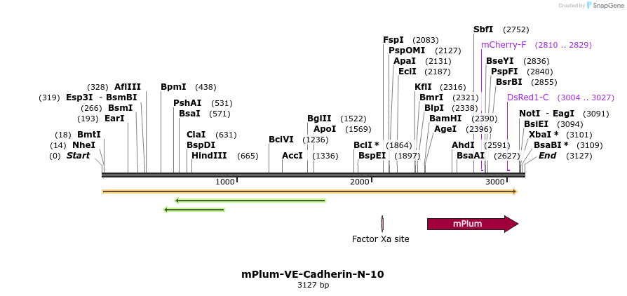 86912_map