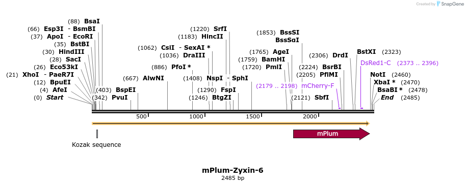 86916_map