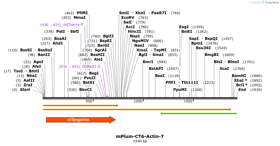 86920_map