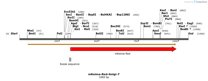 86922_map