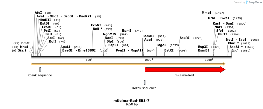 86923_map