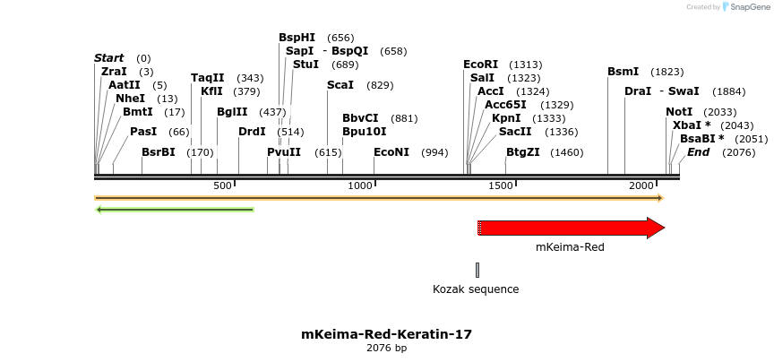 86925_map