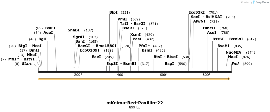 86927_map