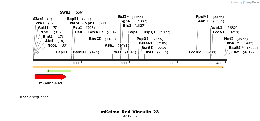 86931_map