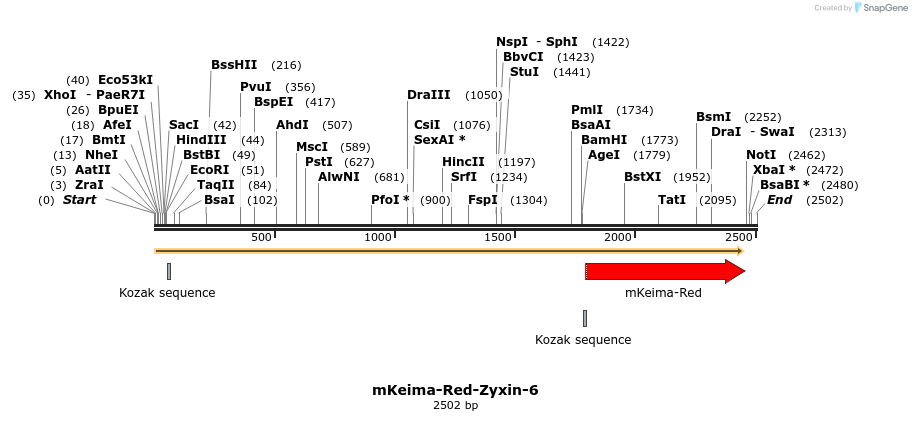 86933_map