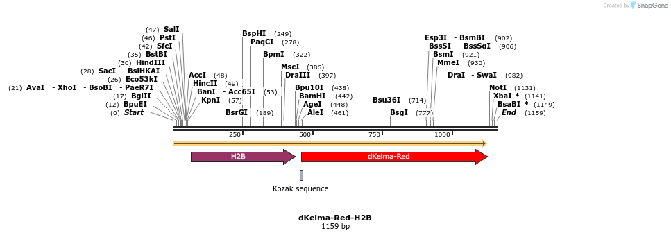 86934_map