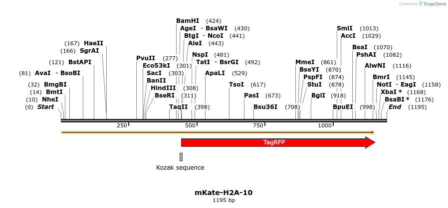 86967_map