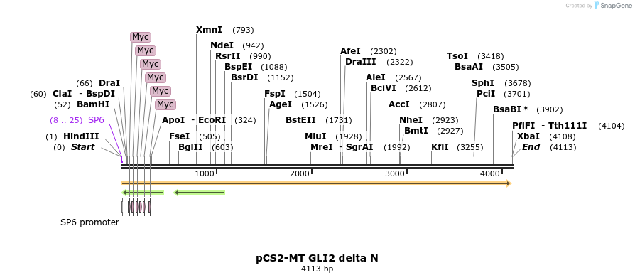 8701_map