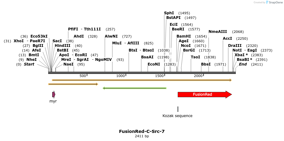87014_map