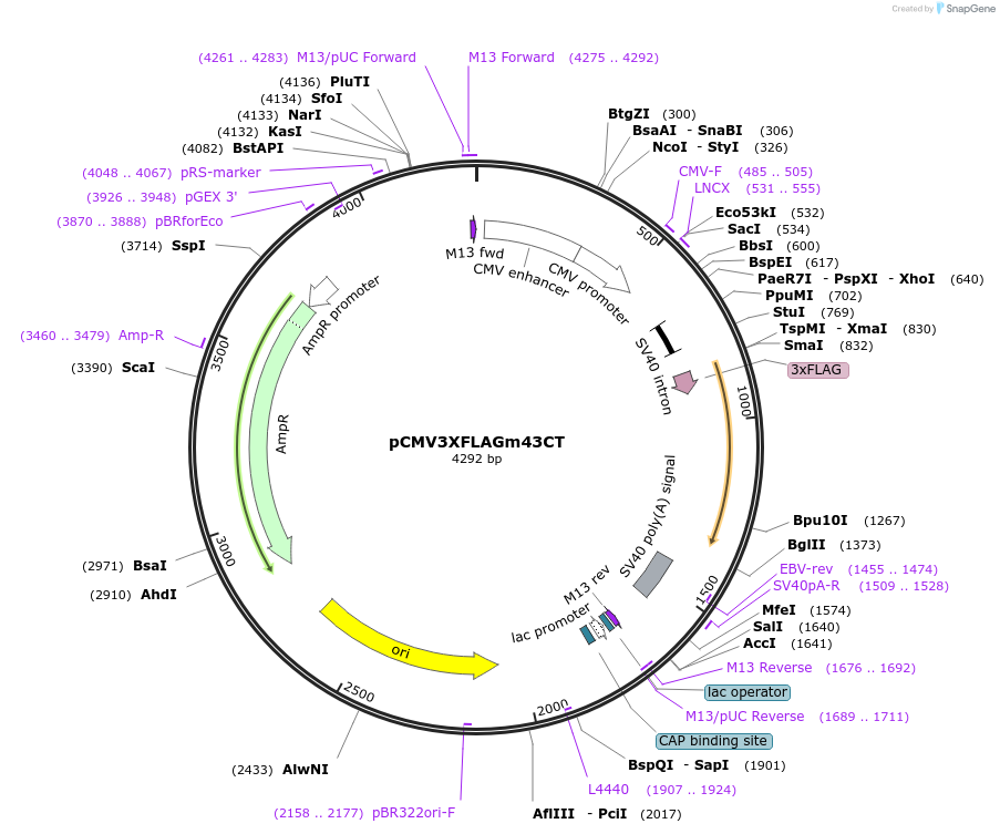 8702_map