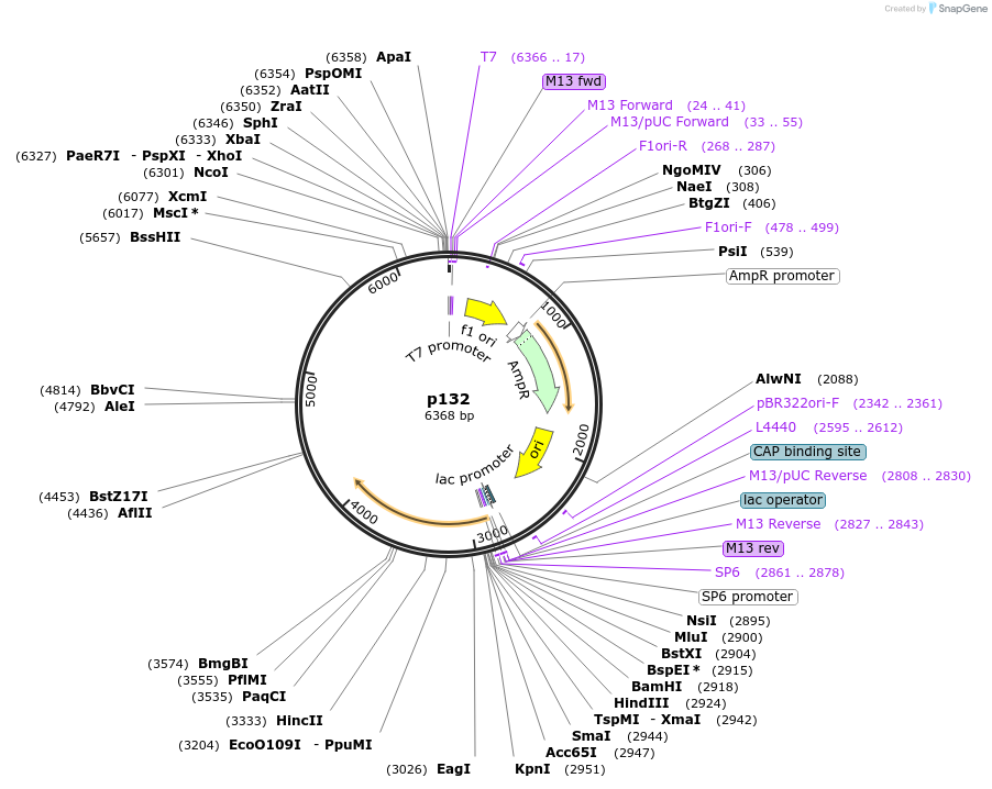 8704_map