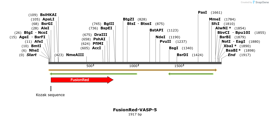 87042_map