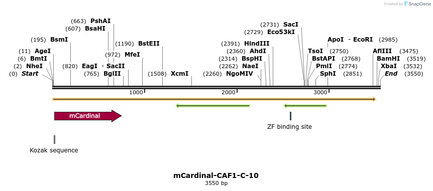 87052_map