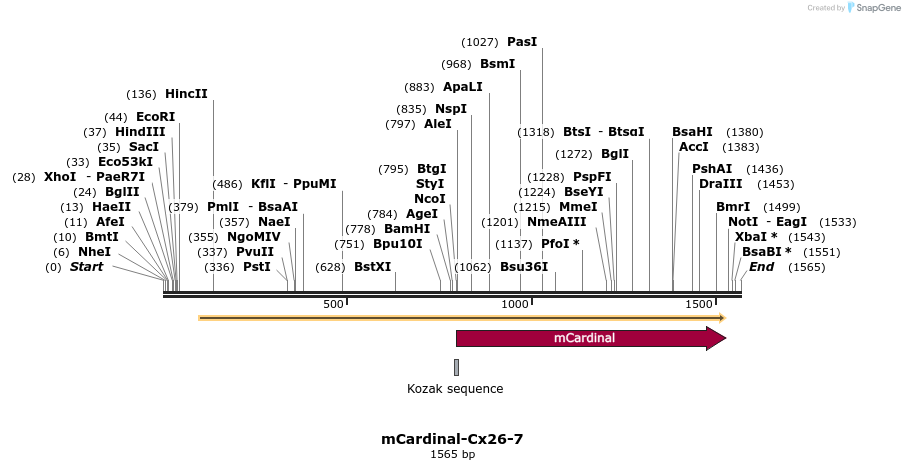 87055_map