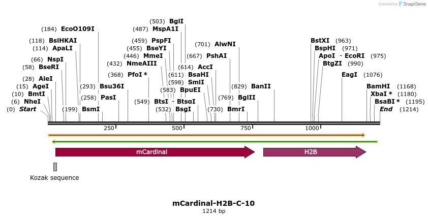 87061_map