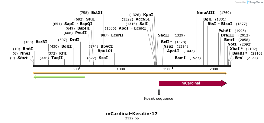 87063_map