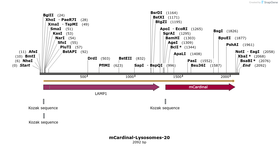 87065_map