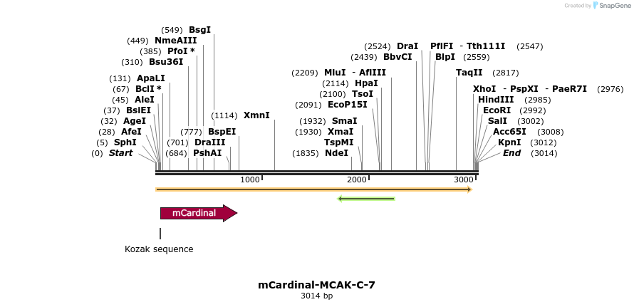 87067_map